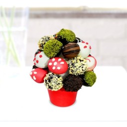 Minik Çikolatalı Lezzetler